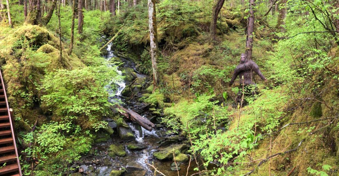 Ketchikan: Tongass Forest Alaska Bigfoot ATV Ride and Hike - Bigfoot Legend and Sightings