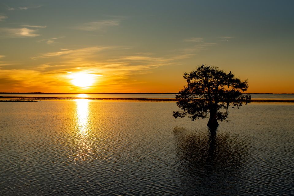 Kissimmee: Boggy Creek Sunset Airboat Tour - Inclusives and Restrictions