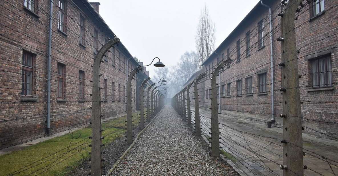 Krakow: Auschwitz-Birkenau Day Trip With Tour Leader - Inclusions and Transportation