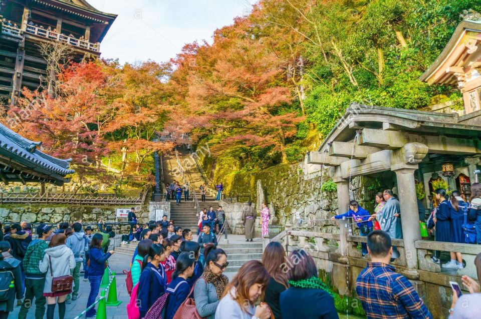 Kyoto: Private Tour With Local Licensed Guide - Guide and Personalization