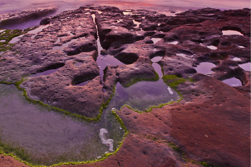 La Jolla: Self-Guided Walking Audio Tour - Tour Features