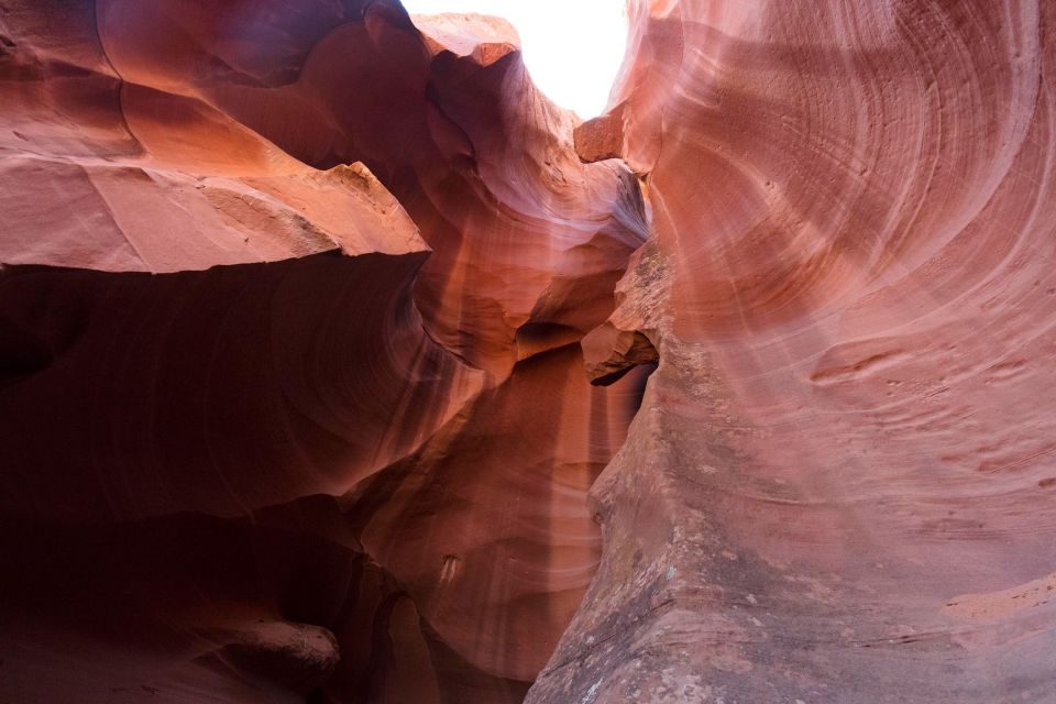 LA: Vegas, Grand, Antelope and Bryce Canyon, Zion 4-Day Tour - Accommodations and Meals