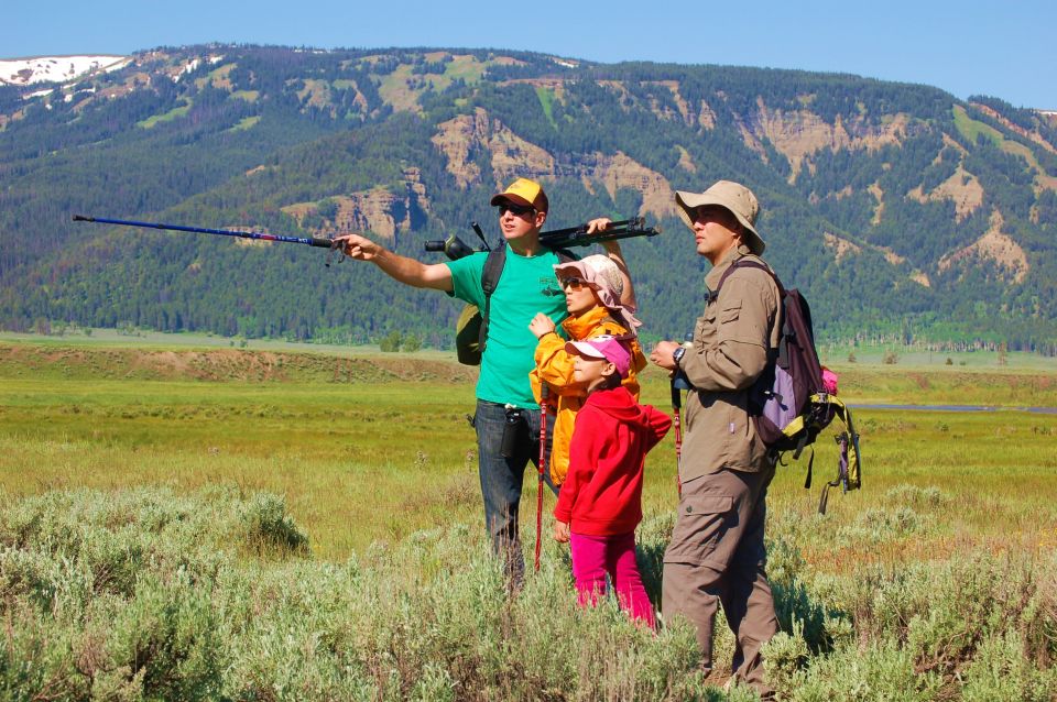 Lamar Valley: Safari Hiking Tour With Lunch - Hike Difficulty and Requirements