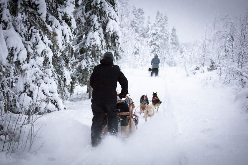 Levi: Self-Drive Husky Sledding Adventure - Clothing and Preparation