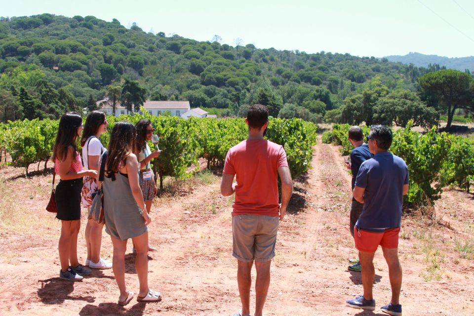 Lisbon: Arrábida and Sesimbra Day Trip With Wine - Portinho Arrábida Beach Stop