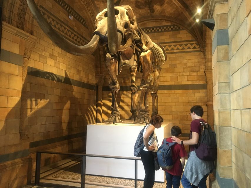 London: Natural History Museum Entry Ticket and Guided Tour - Iconic Exhibits