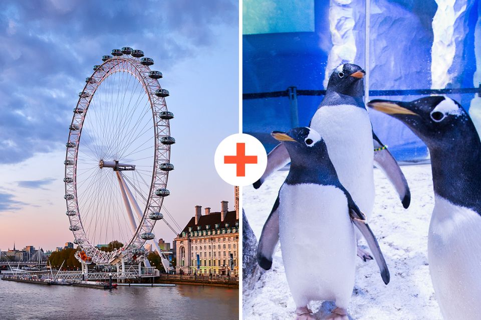 London: SEA LIFE & London Eye Combo Ticket - Explore Underwater Wonders