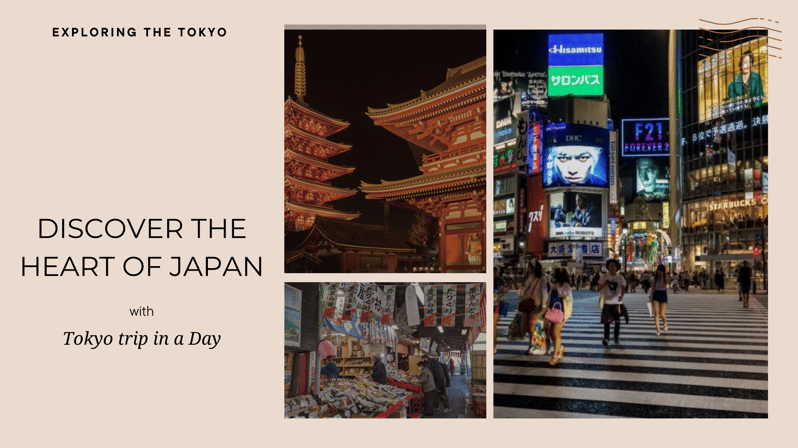 Luxe Travels: Private Tokyo Day Trip Itinerary - Tokyo Imperial Palace and Meiji Shrine