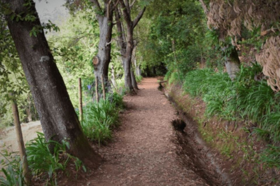 Madeira: Walking Tour - Paradise Valley / Rochão - Pricing and Duration