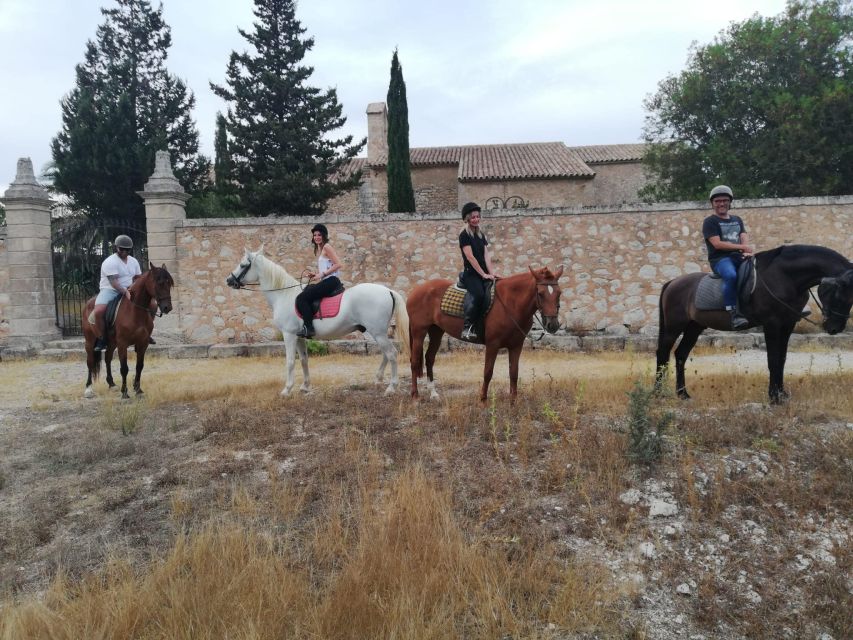 Mallorca: Guided Horseriding Tour of Randa Valley - Whats Included and Required