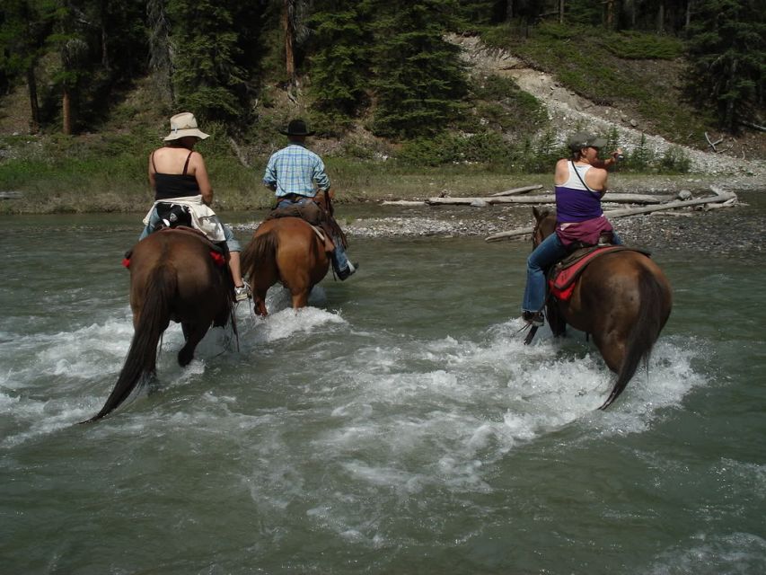 Marmaris National Park: Horse Safari - Pickup and Duration