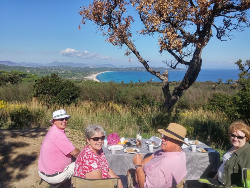 Marseille: 8-Hour Provençal Picnic Tour - Taking in Lavender Field Serenity