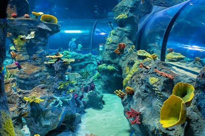 Mauritius Odysseo Oceanarium in Port Louis - Educational Offerings