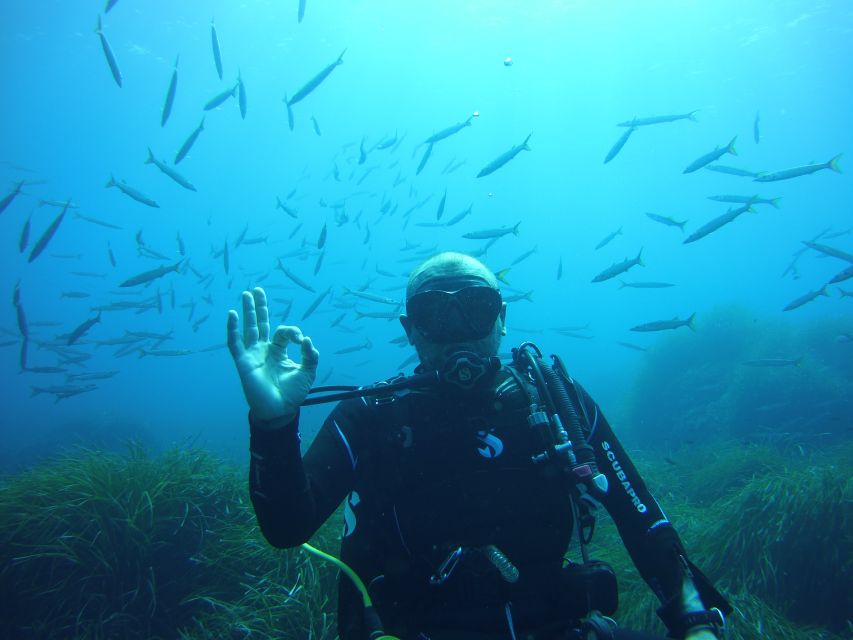 Menorca: Baptism Scuba Diving in Marine Reserve - Included Diving Gear and Equipment