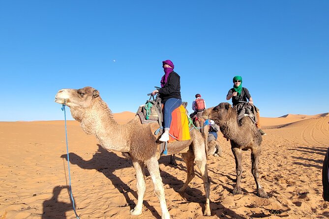 MERZOUGA DESERT TREK - 3 DAYS From Marrakech - Cultural Exploration