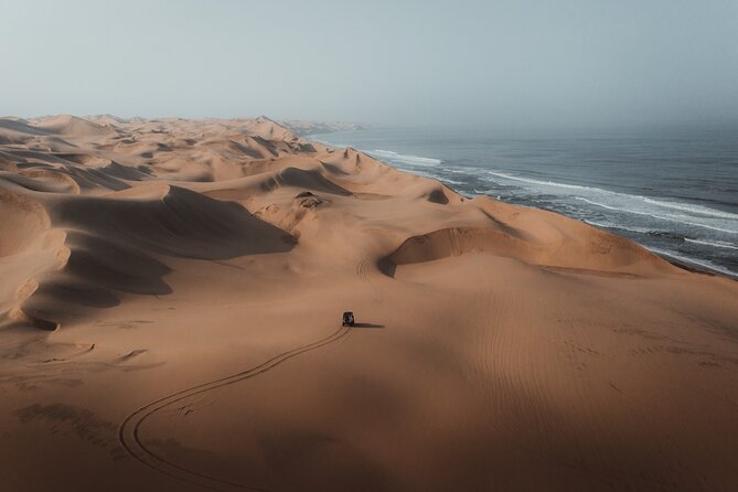 Mola Mola Marine Dune Experience - Traversing the Majestic Sand Dunes