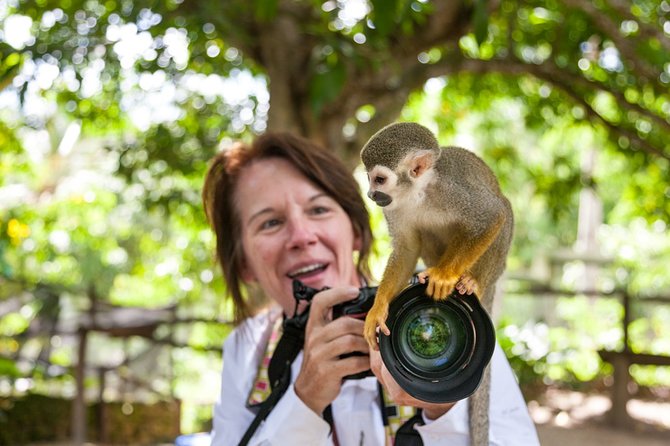 Monkeyland and Plantation Safari Tour From Punta Cana - Visit Coffee and Cacao Plantations