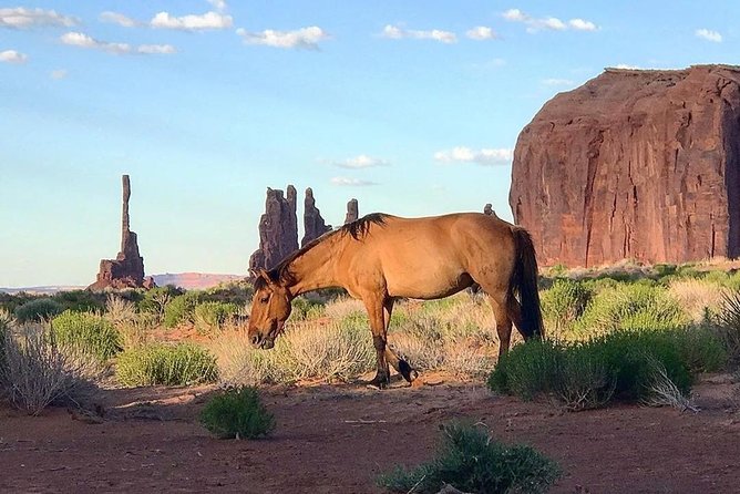 Monument Valley Daytime Tour - 3 Hours - Navajo Spirit Tours - Tour Duration