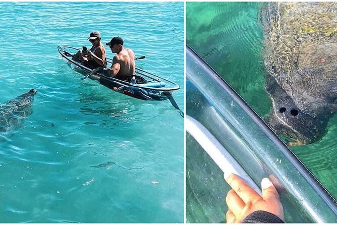 Morning Kayak Tour in Condado Lagoon - Transportation and Fitness Level