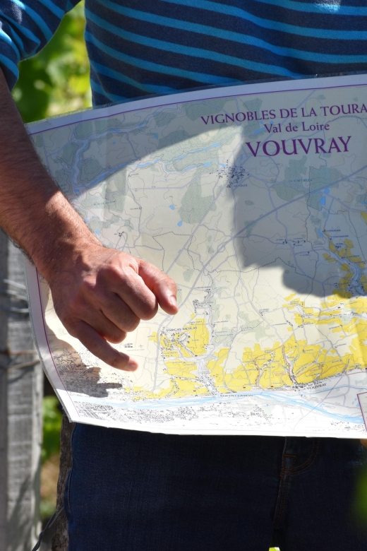 Morning - Loire Valley Wine Tour in Vouvray and Montlouis - Vineyard Tour and Wine Tasting