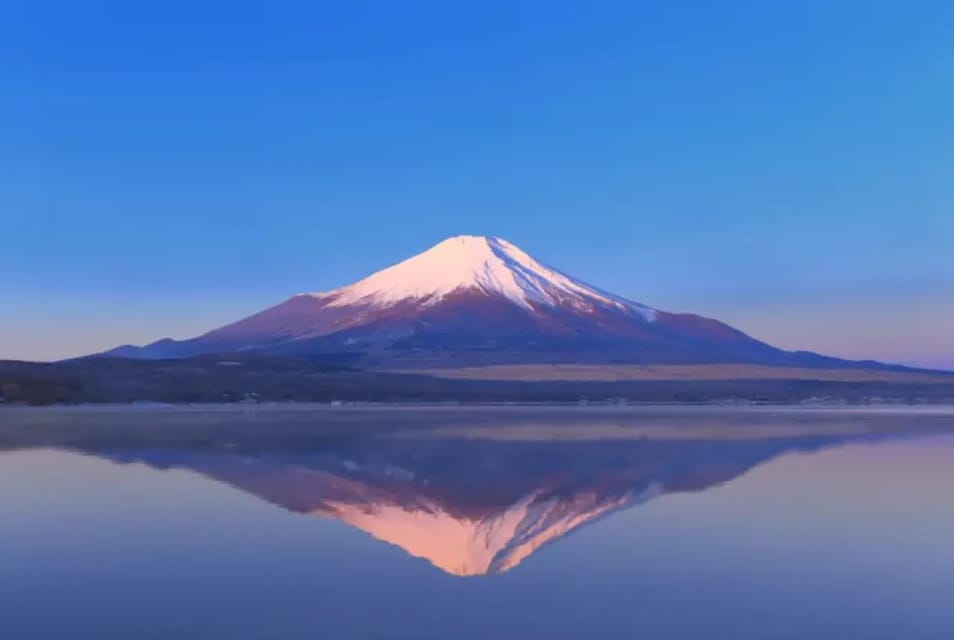 Mount Fuji and Hakone Day Tour With English Speaking Drivers - Included Services