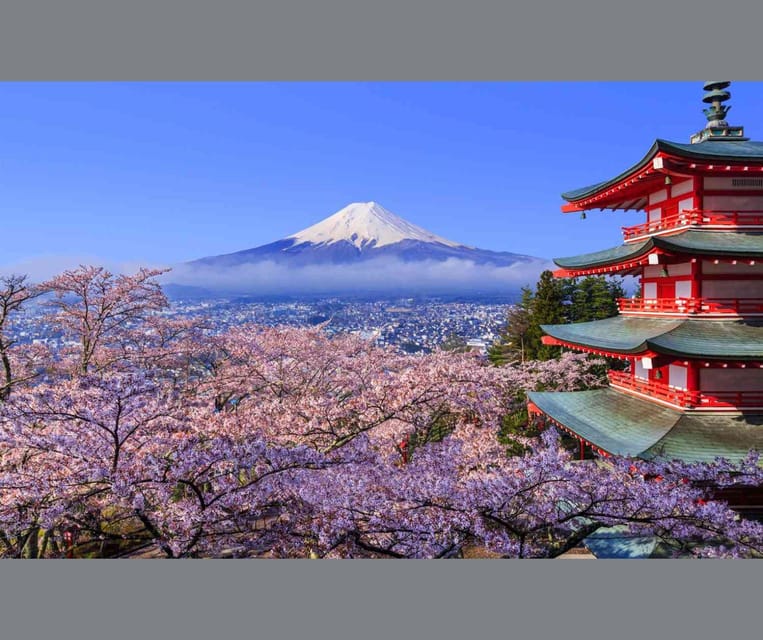 Mount Fuji and Hakone Private Tour English Speaking Driver - Scenic and Cultural Experiences