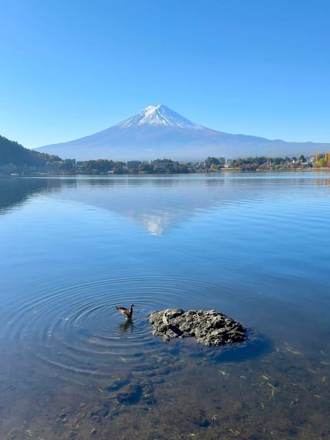 Mount Fuji Full Day Sightseeing Private Tour - Cancellation Policy