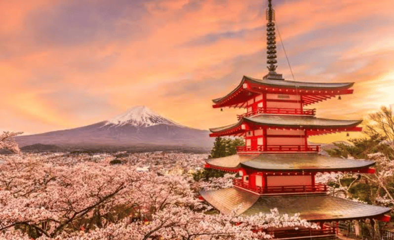 Mount Fuji Full Day Sightseeing Private Tour - Discounted Pricing