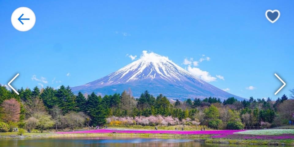 Mt Fuji and Hakone Private Tour With English Speaking Guide - Inclusions and Exclusions