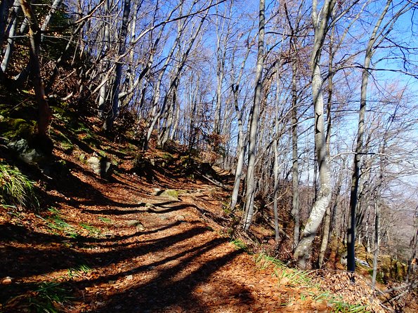 Mt. Vitosha and Boyana Waterfall Hiking Tour From Sofia - Inclusions and Exclusions