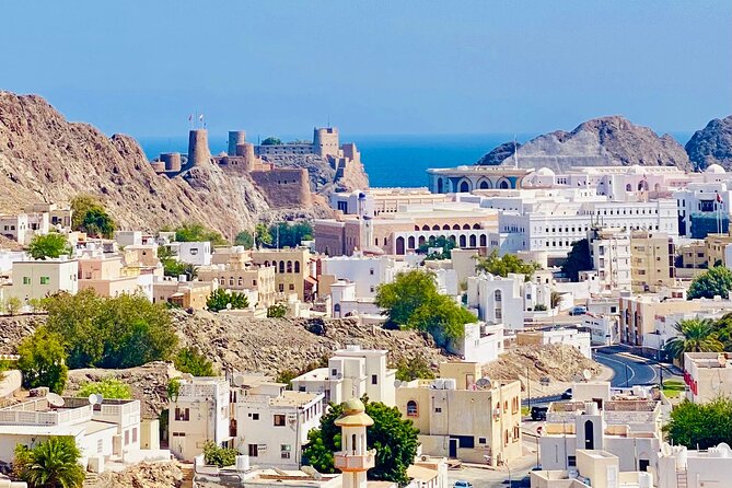 Muscat City Tour With Omani Guide (Private). - Accessibility and Participation