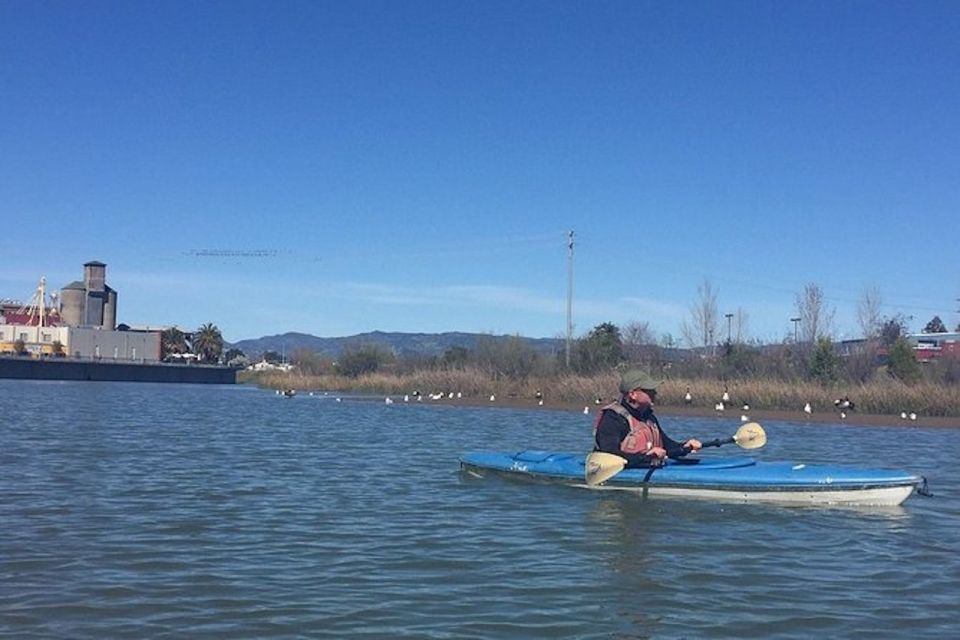 Napa Valley: Napa River Kayak Rental - Pricing and Packages