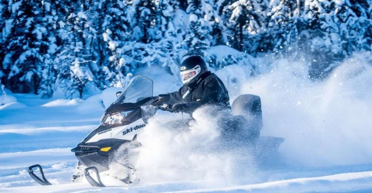 North Pole Alaska: Guided Fairbanks Snowmobile Tour - Tour Inclusions and Amenities