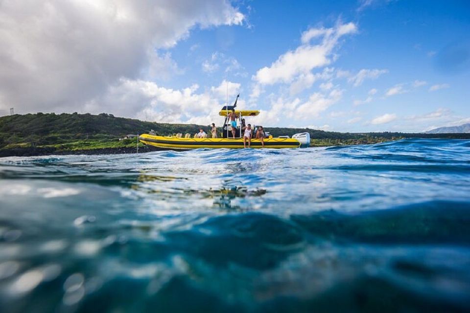 Oahu: North Shore Marine Life Tour From Haleiwa - Tour Details