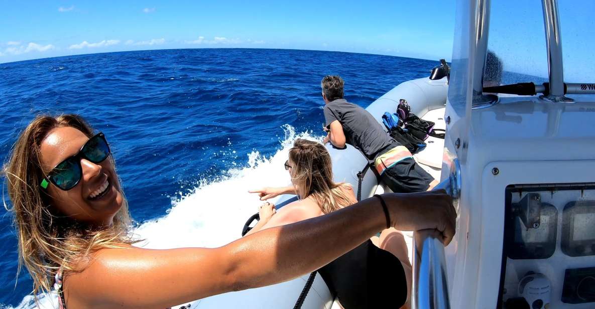 Oahu: Private Whale Watching Adventure - Whale Viewing Season