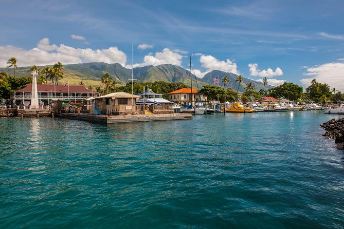 Oahus Favorite Whale Watch! (2 Hours; Ala Wai Harbor, Oahu) - Safety and Accessibility