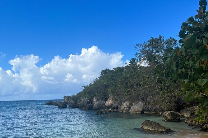 Ochi Rios Beach Day With Jerk Chicken Lunch - Health and Safety Information