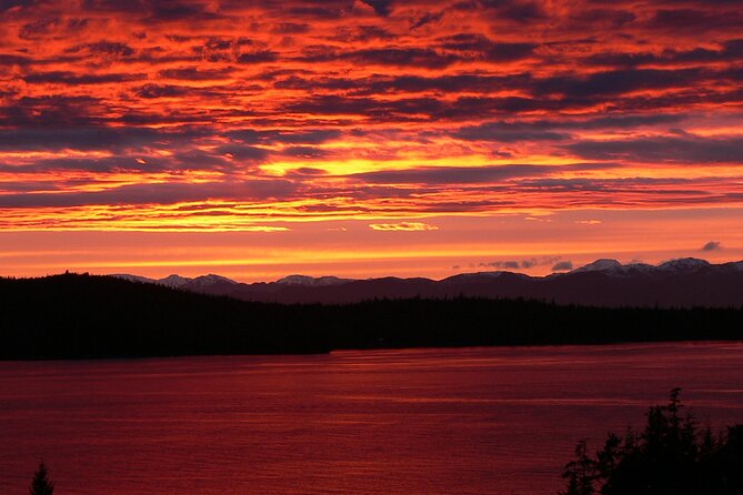 Off the Beaten Path Ketchikan Photo Safari - 3 Hr. - Customer Experiences