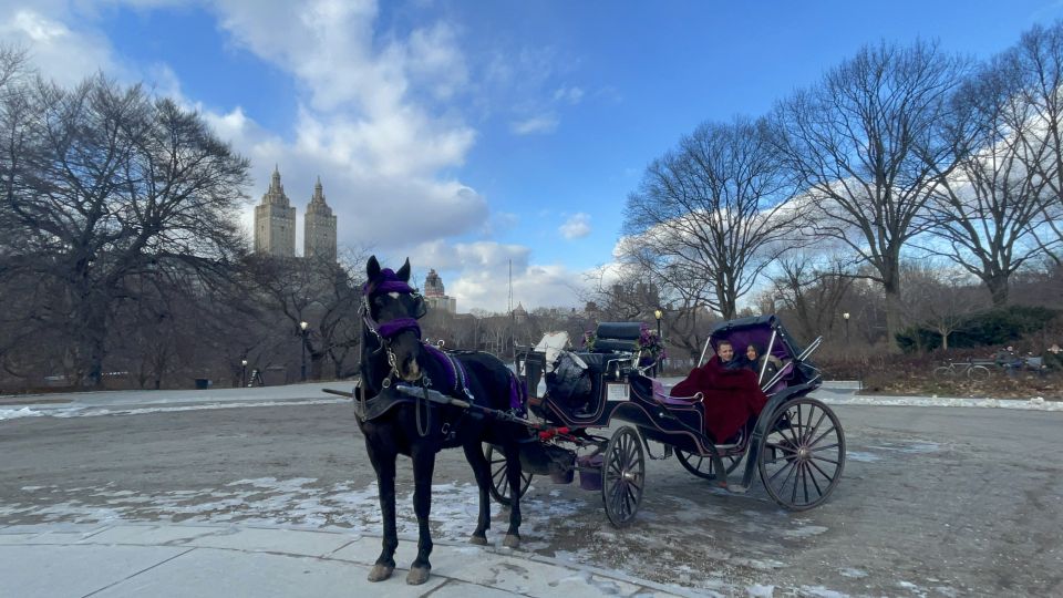 Official Exclusive VIP Horse Carriage Ride in Central Park - Photographic Opportunities