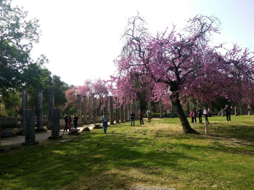 Olympic Site All-Inclusive Private Tour With a Local Expert - Tour Features