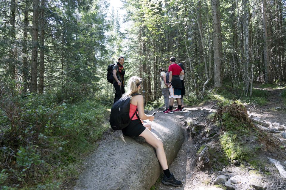 Oslo: Vettakollen Hike With Oslofjord View - Highlights of the Experience