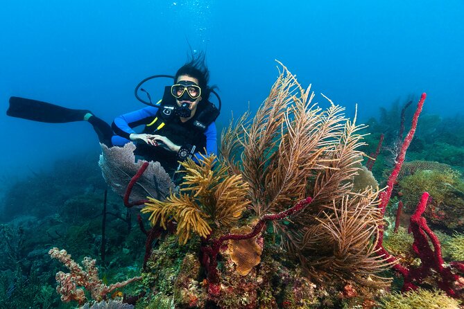 PADI Discover Scuba Diving Course in Bayahibe - Scuba Diving Theory