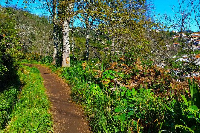 Paradise Valley - Levada Walk - What to Expect