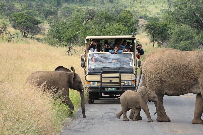 Pilanesberg Safari Open Vehicle Game Full Day - Inclusions