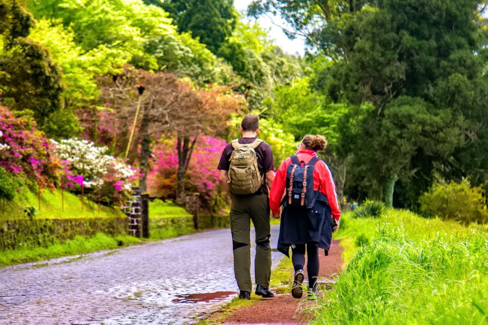 Ponta Delgada: Full-Day Van Tour to Furnas Valley - Key Stops in Furnas Valley