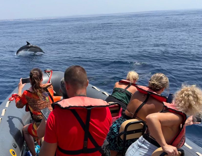 Portimão: Dolphins and Marine Life Boat Tour With Biologist - Responsible Dolphin Watching Practices