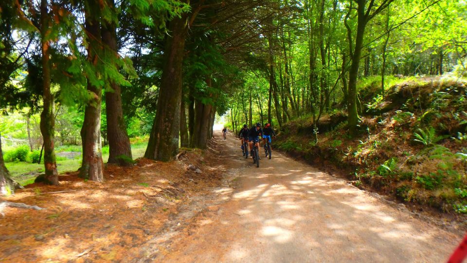 Portugal: Peneda Gerês National Park by Electric Bike - Encounter Stunning Waterfalls