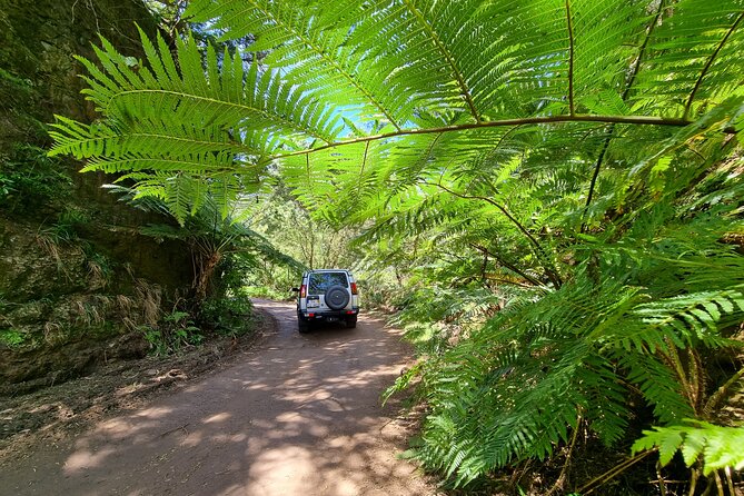 Private 4x4 Jeep Full Day Porto Moniz or Santana - Potential Sightseeing Destinations