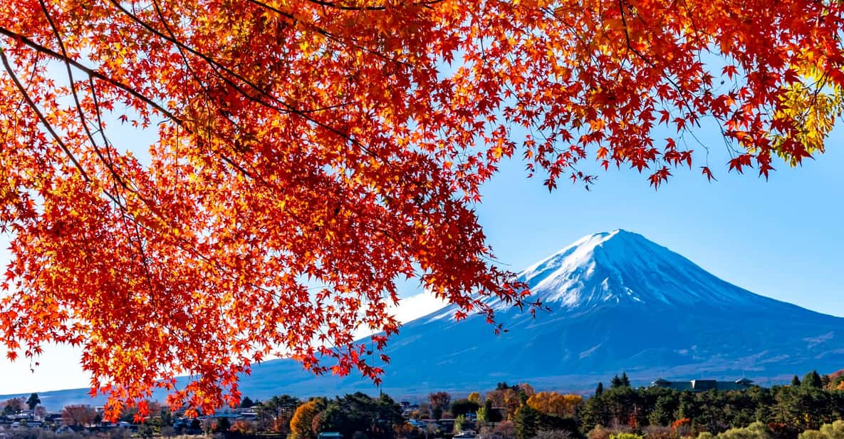 Private Day Tour to Mount Fuji Hakone With English Driver - Customizable Experience