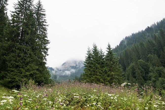 Private Daytrip Hike to Bucegi Mountains - Meeting Point and Pickup